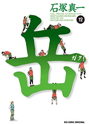 岳 12、 石塚 真一、 小学館